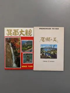 Item thumbnail for item 03e0441b-ebae-4104-b4fb-ec2c1ddce57e