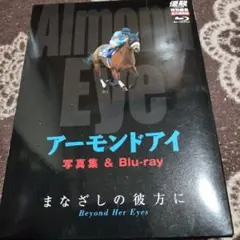 Item thumbnail for item f917ed0e-3821-459b-b59d-a77a64fc89e2