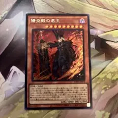 d4722遊戯王陽炎殿の君主　シク