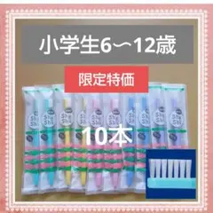 【557】限定特価　小学生歯ブラシ　ふつう10本