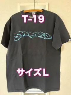 Lollapalooza ロラパルーザ 2025 Tシャツ Lサイズ - メルカリ