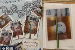 じょせまる ちぇきぽいかぁど