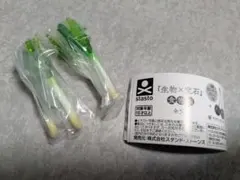 stasto 生物×宝石 白ネギ トルマリン