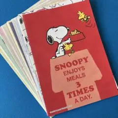 メモ帳　スヌーピー　バラメモ　30枚　おすそ分け