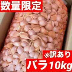 【初売りセール】青森県産 にんにく バラ 10kg 福地ホワイト 加工　訳あり 数量限定】青森県産にんにく バラ10kg福地ホワイト お買い得 訳あり