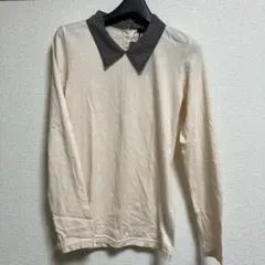 新品未使用タグ付　Kastane ロンT FREESIZE