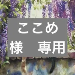 ここめ様　専用