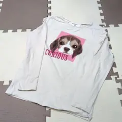 H&M 長袖カットソー US 8/10 犬プリント　140