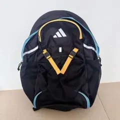 Item thumbnail for item 520d4e87-e6bc-4a6f-90f4-f1d7b7bb3df4