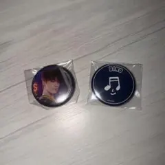 seventeenmuseum DINO 缶バッジ 2個セット