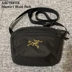 ☆定価以下☆ARC'TERYX mantis1 マンティス1 24Kブラック 金 - メルカリ