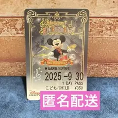 ディズニー リゾートライン フリーきっぷ ビッグバンドビート BBB 最終日