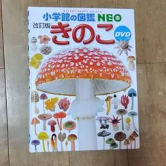 Item thumbnail for item 20c87d9b-b740-4980-b7b3-2073f8520e82