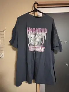 ダークグレー ユニコーン グラフィックTシャツ