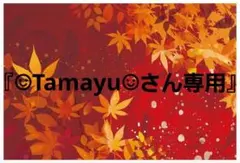 『☺︎Tamayu☺︎さん専用』枠