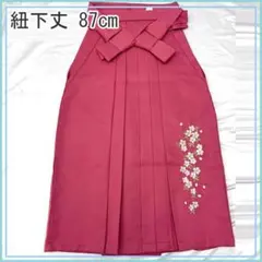 Item thumbnail for item 95108615-d114-4f87-91ef-16d5b7951080