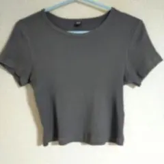 UNIQLO Mサイズ グレー　クロップド丈短めTシャツ
