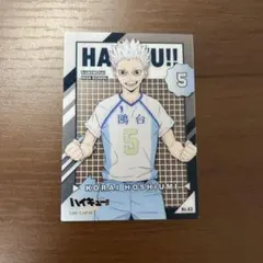 ハイキュー　星海光来　クリアカード