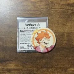 ハイキュー 日向翔陽 缶バッジ