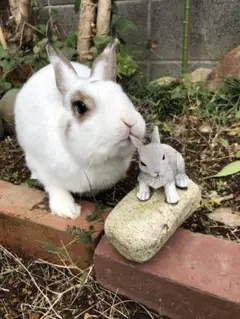 まろー様　確認画像