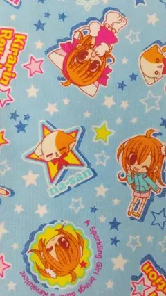 きらりんレボリューション　はぎれ　布　生地