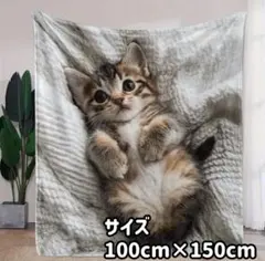 11 ブランケット　猫　キジトラ　アメショー　ねこ　100㎝ 150㎝　大判