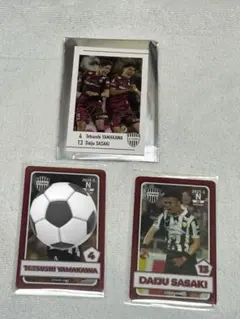ヴィッセル神戸 プレイヤーズインスタントフォトカード 佐々木大樹 選手 山川哲史