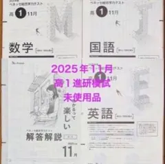 2026年最新】進研模試 高1 11月の人気アイテム - メルカリ