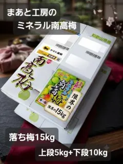 ６月５日発送。まあと工房のミネラル南高梅(落ち梅)15kg 6月5日発送。まあと工房のミネラル南高梅(落ち梅)15kg - メルカリ