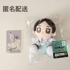 ハイキュー タイトーくじ D賞 お座りマスコット ぬいぐるみ 青葉城西 国見英