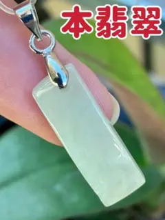 特別価格‼️本翡翠　ネックレス　新品 5131