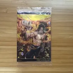 【未開封】ワンピース ウエハース カード エース SRのサムネイル