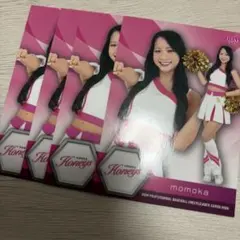 BBM honeys momoka