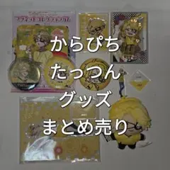 からぴち たっつん 24点まとめ売り