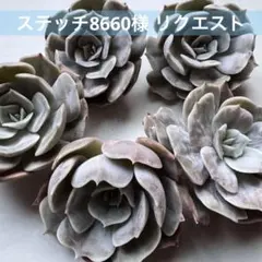 ステッチ8660（プロフィール必読）様 リクエスト 2点 まとめ商品