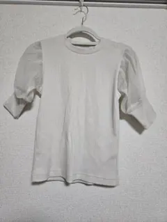 AZUL リブ編みオーガンジートップス