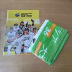 SoftBank Hawks 応援タオルとクリアファイルのセット