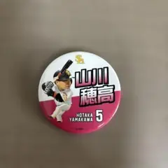 福岡ソフトバンクホークス 山川穂高 缶バッジ - メルカリ