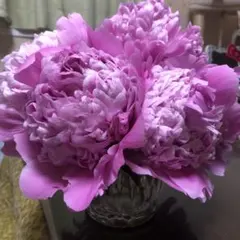 ププン様 リクエスト 2点 まとめ商品