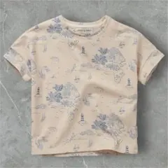 Item thumbnail for item 46a27def-3d73-4784-8c22-deb7f8d11b03