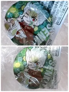 Dr.STONE 石神千空 缶バッジ ガチャガチャ カプセル 2点