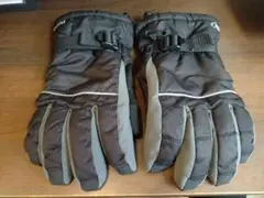 Item thumbnail for item 271c9f3d-d3e3-4053-ad3d-5319fb996961