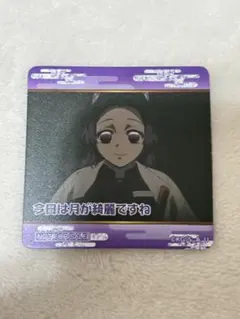 鬼滅の刃胡蝶しのぶ磁石