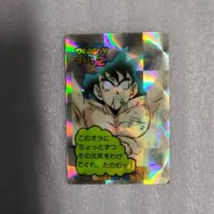 ドラゴンボールZ　両面印刷　当時物　ワンオーナー品　キラ&ノーマル　ホロ良し ドラゴンボールZ 両面印刷 当時物 ワンオーナー品 キラ&ノーマル ホロ