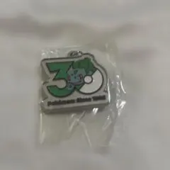 ポケモン 30周年記念メタルチャームマスコット