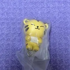 MINITEEN ホシ カニカンver. ①