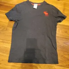 abercrombie キッズ Tシャツ L 黒 赤い鹿刺繍
