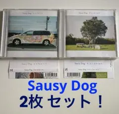 「ブルーピリオド」「サラダデイズ」Saucy Dog