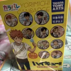 ハイキュー!! カラパレ より道缶バッジセット全10種