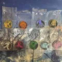 ポケカ イーブイズ コイン コンプリートセット